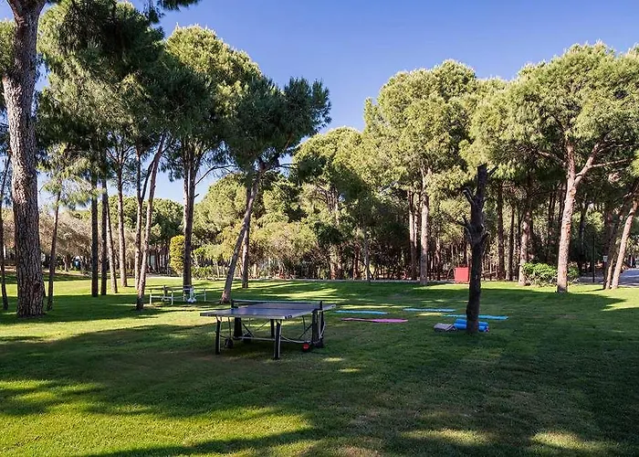 Voyage Golf And