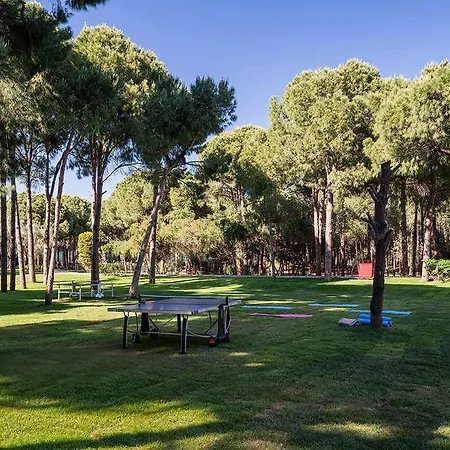 Voyage Golf And